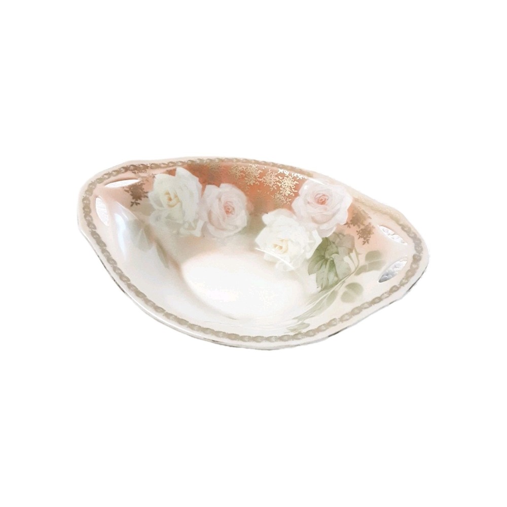 RS Tillowitz Silesia Bowl Oval Footed Pale Peach Orange white Pink Roses 8"